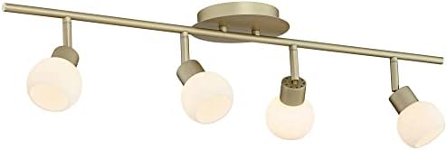 Pro Track 4-Head LED Ceiling Light Fixtures