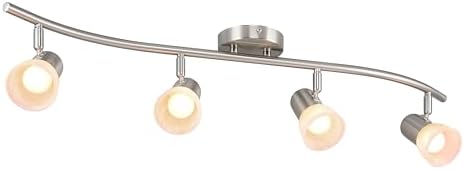 4 Light S-Shaped Track Lighting with Glass