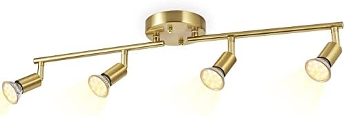 Luxury LED Ceiling Light Kit