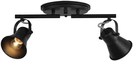KEESFU 2-Light Track Lighting Kit