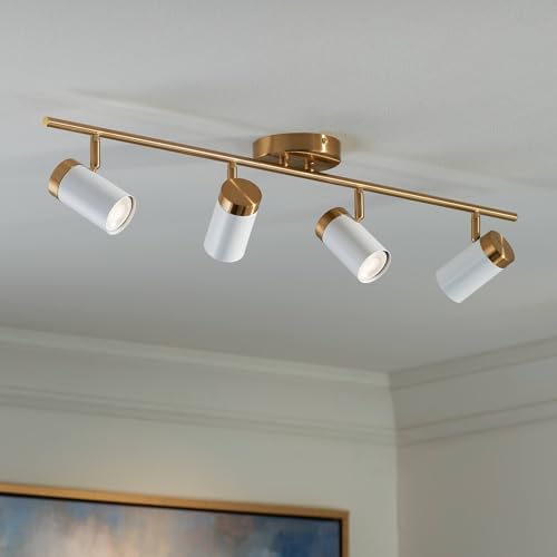 Pro Track 4 Light Adjustable Track Lighting Kit