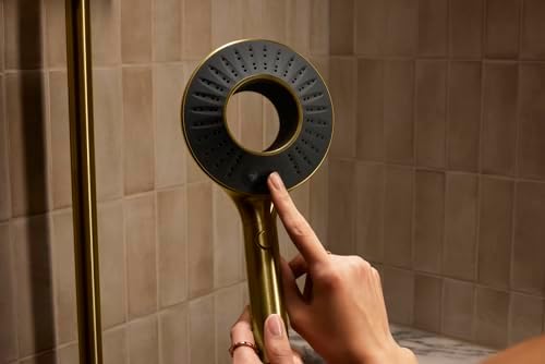 KOHLER SpaViva Two-Function Handheld Showerhead 1