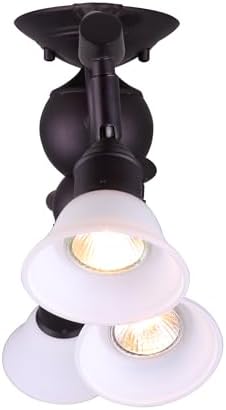 Canarm Bronze Addisson Track Lighting