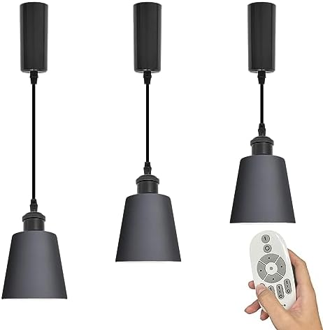 Adjustable pendant lamp with E26 bulbs