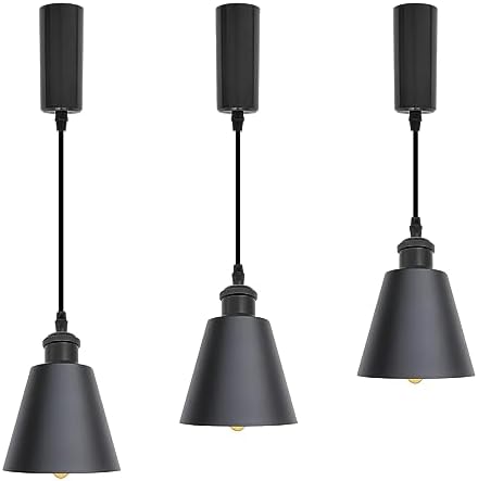 Adjustable Track Pendant Light
