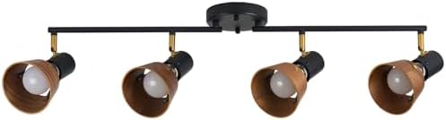 TeHenoo 4 Light Track Lighting with Brass Accent and Natural Wood