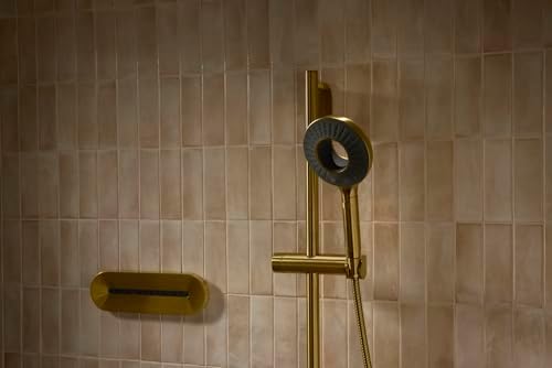 KOHLER SpaViva Two-Function Handheld Showerhead 1