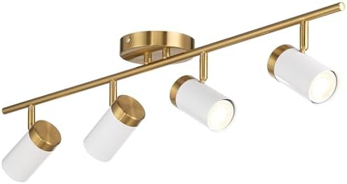 Pro Track 4 Light Adjustable Track Lighting Kit