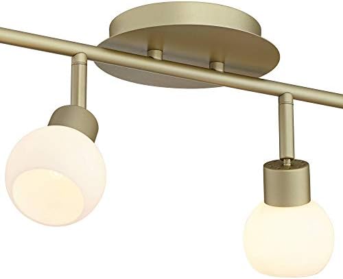 Pro Track 4-Head LED Ceiling Light Fixtures