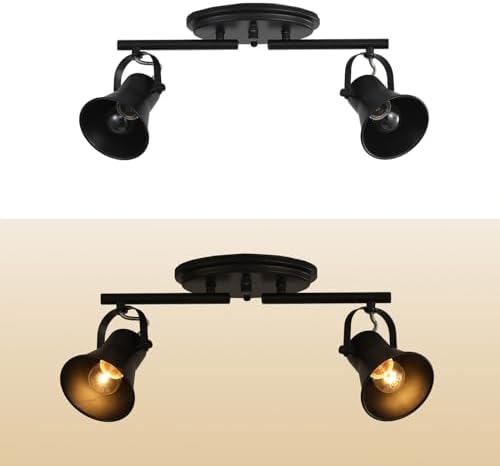 KEESFU 2-Light Track Lighting Kit