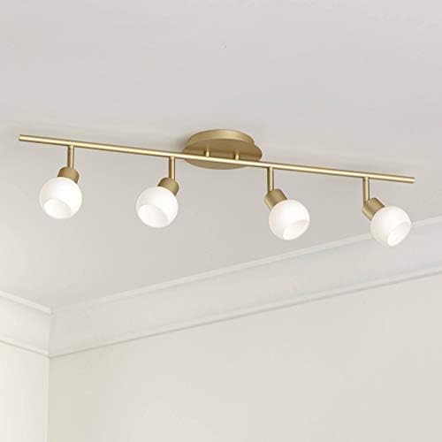 Pro Track 4-Head LED Ceiling Light Fixtures