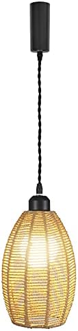 Adjustable Hanging Light E26 Retro Design