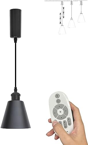 Adjustable Height Pendant with Color Changing Dimming