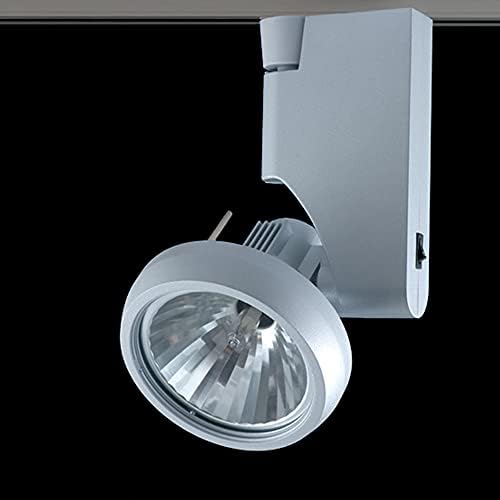 Ultimate Metal Halide Track Light Fixtures