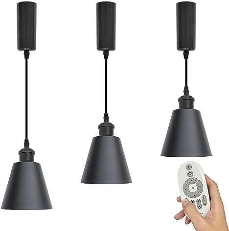 Adjustable Height Track Pendant Light with Remote Control