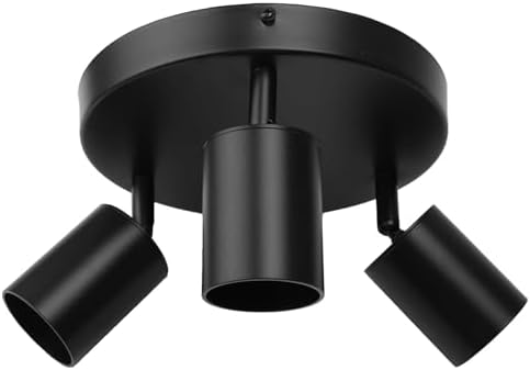 Bright and Functional Ceiling Lights