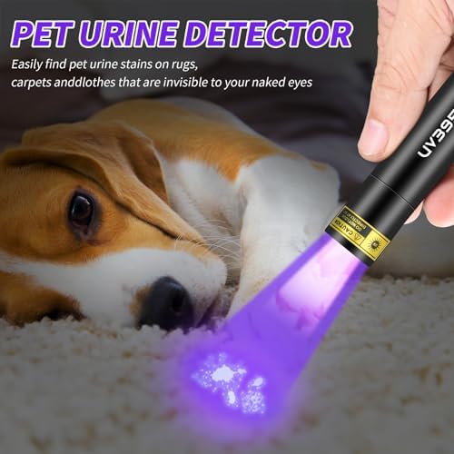 Pet Urine UV Flashlight Compact Powerful