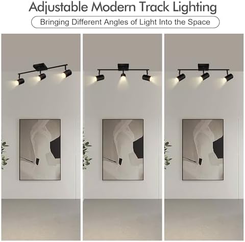 3-Light Track Lighting Kit Black Rotatable Ceiling Lights Modern Design
