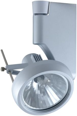 Ultimate Metal Halide Track Light Fixtures