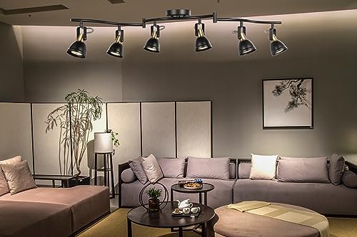 6 Light Foldable Track Lighting Kit with Matt Black Brass Finish 1