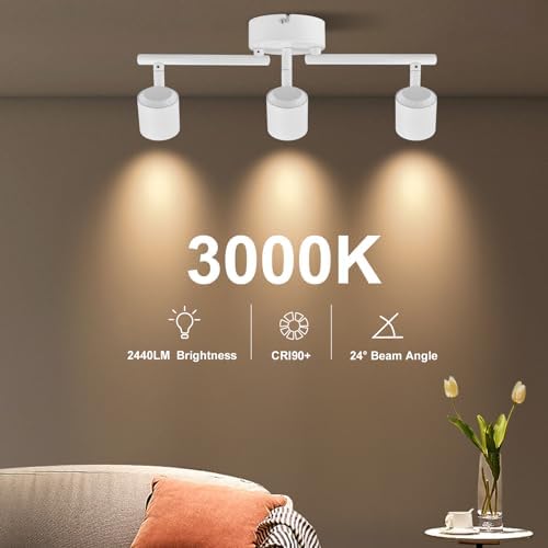 Arcfox 3-Light Track Lighting Kit Dimmable Adjustable 24W 3000K