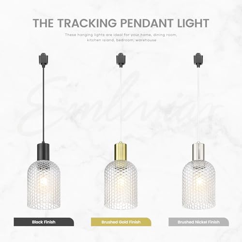 Emliviar Rustic Track Pendant Lighting 3 Pcs with Hammered Glass