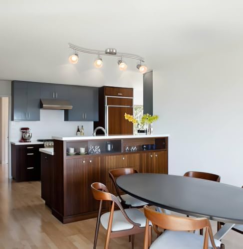 4 Light S-Shaped Track Lighting with Glass