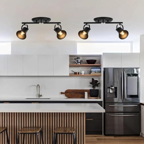 KEESFU 2-Light Track Lighting Kit