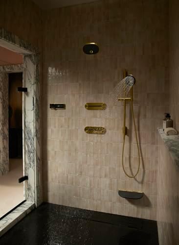 KOHLER SpaViva Two-Function Handheld Showerhead 1
