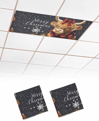 Home L6 2 Pack Magnetic Fluorescent Light Covers