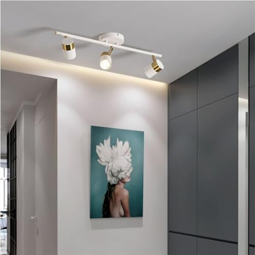 Track Lighting Kit by ActiWoqi