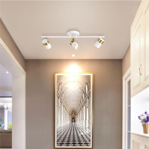 Track Lighting Kit by ActiWoqi
