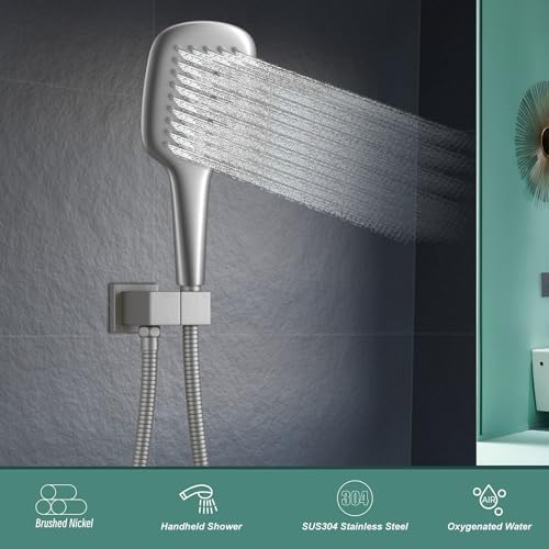 ike Nickel Shower Head Handheld