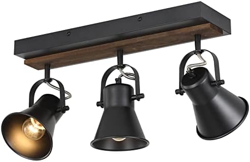 KEESFU 3 Light Track Lighting Kit Black