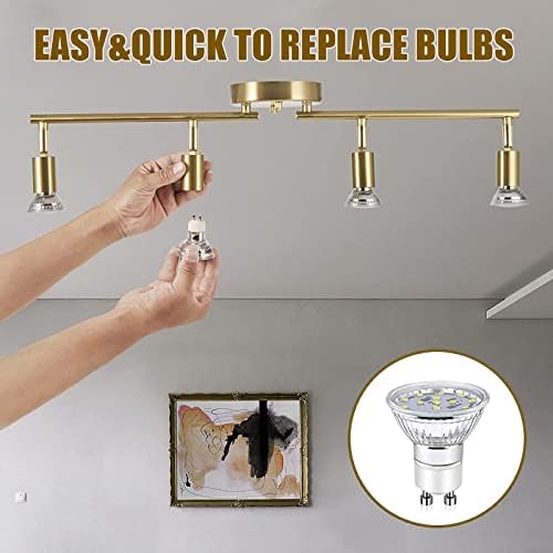 Luxury LED Ceiling Light Kit