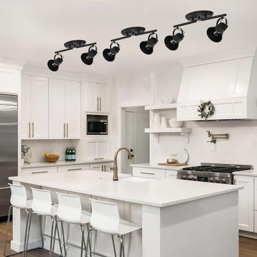 KEESFU 2-Light Track Lighting Kit