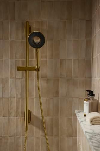 KOHLER SpaViva Two-Function Handheld Showerhead 1