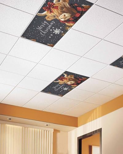 Home L6 2 Pack Magnetic Fluorescent Light Covers