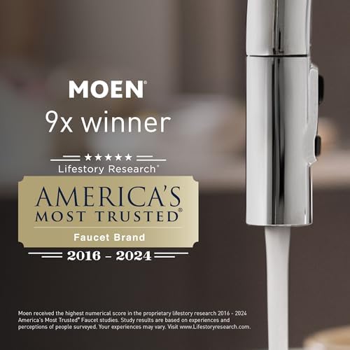 Moen Chrome Eco-Performance Handheld Shower