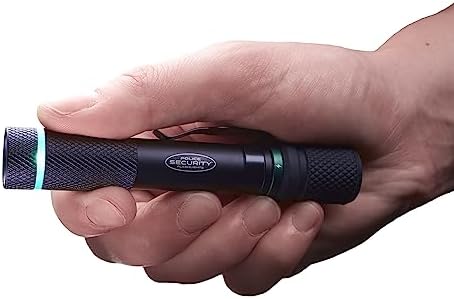 Police Security - 260 Lumens reviewed