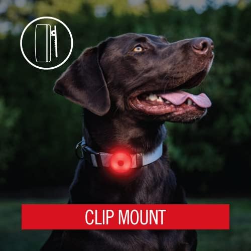 Coast SL1R Rechargeable Safety Clip Light