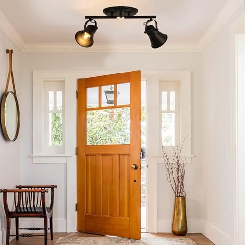 KEESFU 2-Light Track Lighting Kit