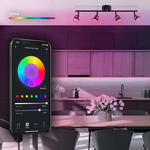 Globe Electric Smart LED Track Lighting Voice Activated No Hub Required