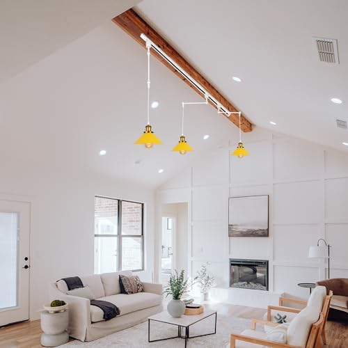 Elegant Adjustable Pendant Lighting