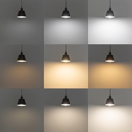 Sturdy Track Pendant Light Black Warm