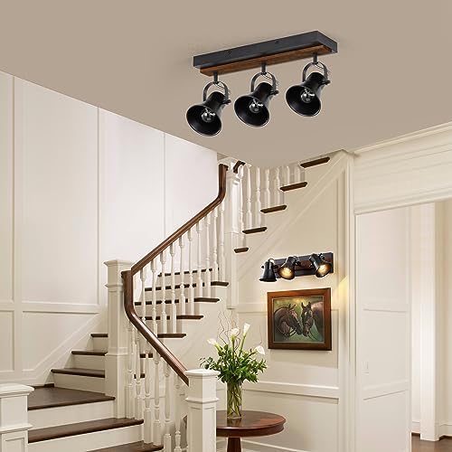 KEESFU 3 Light Track Lighting Kit Black