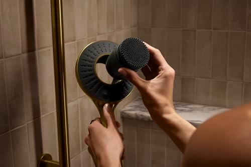 KOHLER SpaViva Two-Function Handheld Showerhead 1