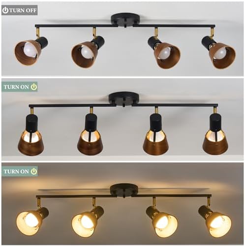TeHenoo 4 Light Track Lighting with Brass Accent and Natural Wood