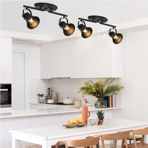 KEESFU 2-Light Track Lighting Kit