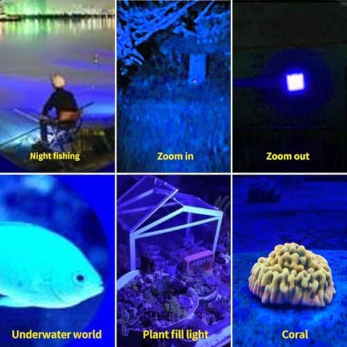 YZYOE 3 in 1 UV Blue Light Flashlight with 3 Modes